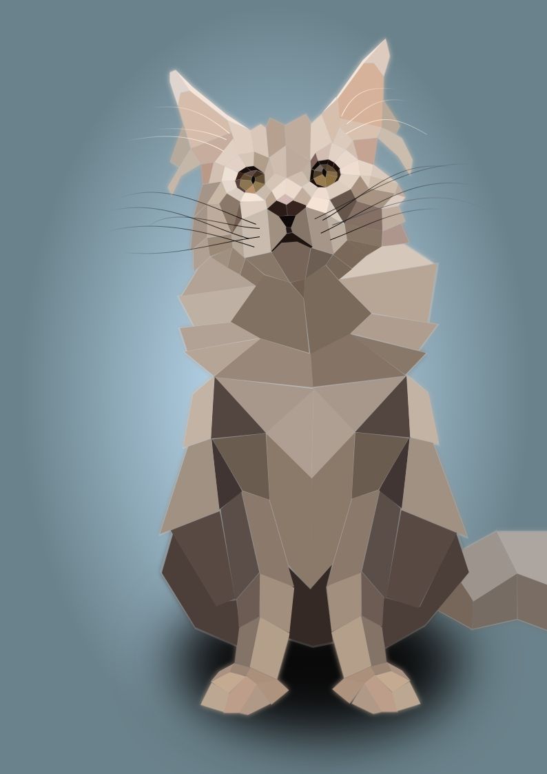 Low Poly picture of a Maine Coon Cat