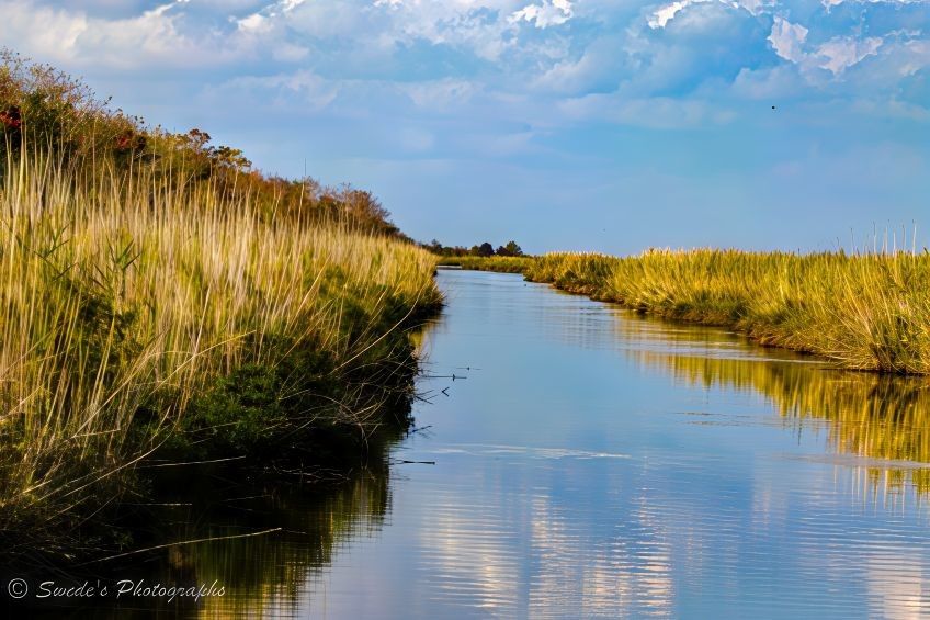 Bayou Stillness

"A slender channel of water winds gently through the heart of the Sabine National Wildlife Refuge, like a quiet breath drawn between the tall grasses of the bayou. The water’s surface is smooth and glassy, mirroring the sky above—a soft tapestry of pale blue streaked with drifting clouds that seem to pause in reflection. On either side of the channel, the banks rise just slightly, clothed in dense, golden grasses that sway with a whisper in the breeze. Their color hints at late summer or early autumn, a warm yellow tinged with green and brown.

Bushes dot the edges here and there, adding texture and depth to the scene, their leaves tangled and wild, untouched by human hands. The landscape feels still, as if time has slowed to honor the quiet dignity of this wetland. There are no signs of movement—no birds in flight, no ripples from passing fish—just the hush of nature holding its breath. The image captures a moment of pure tranquility, where water, sky, and earth meet in gentle harmony." - Copilot