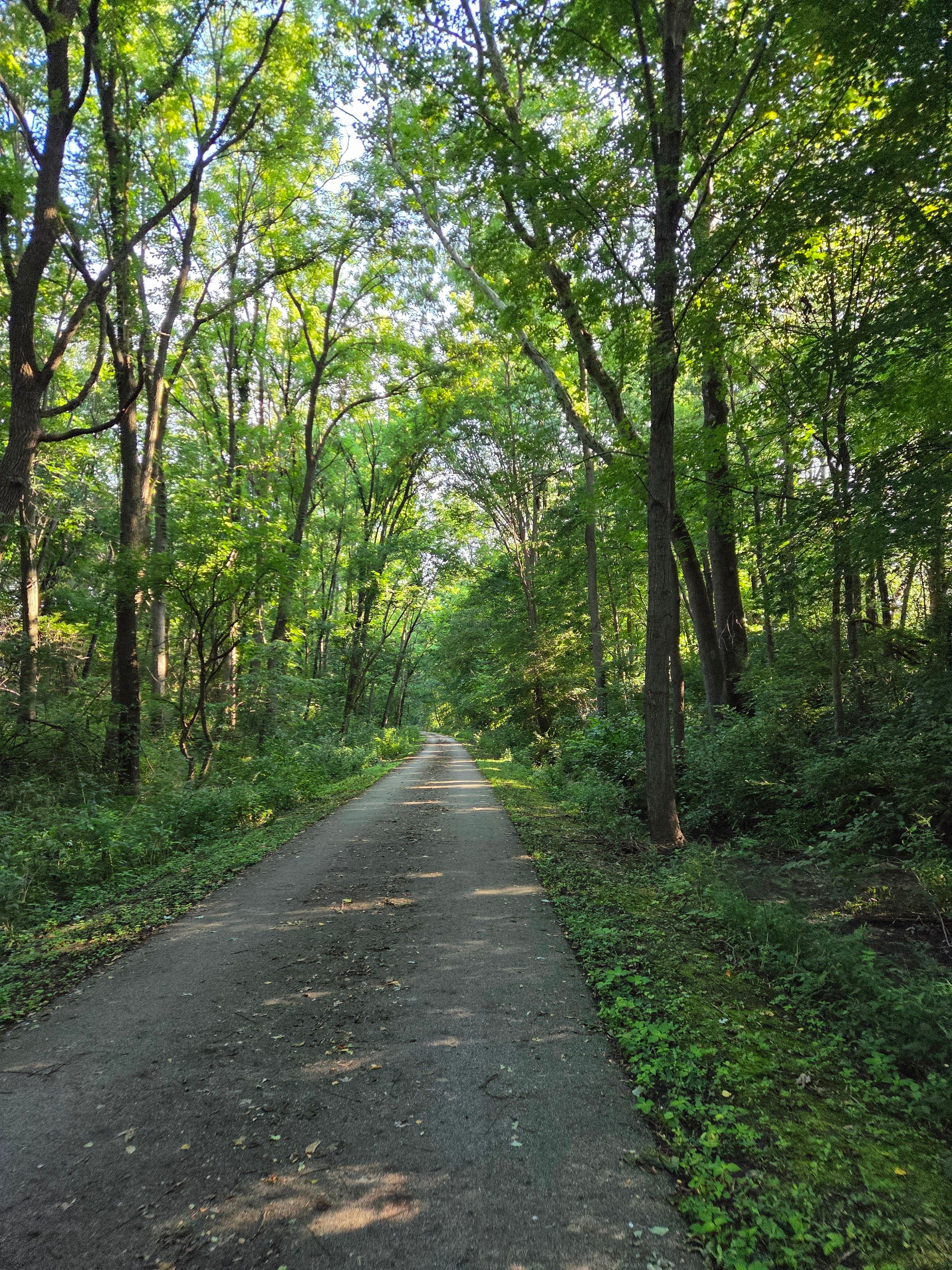 A shaded, paved path on what used to be a railroad bed. Greenery lines the pavement, which is lightly covered in twigs and leaves from the canopy above. Some rays of sun light break through to shine on the path. No human is in the visible frame.
