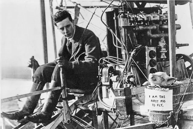 The first pig to fly in an aeroplane was taken up for a joyride in a biplane by Lord Brabazon, holder of the first pilot license in Britain.
"The TIMES", London, (1909). 