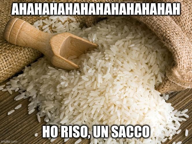 Un sacco di iuta dal quale esce del riso; c'è una paletta appoggiata accanto con del riso dentro. Sopra è scritto Ahahahahahahahah, e sotto Ho riso, un sacco