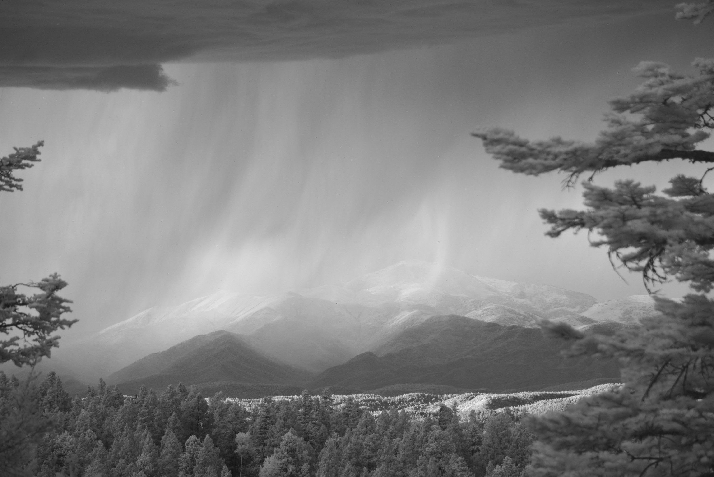 A closer view of the first photo.

The veils and sheets of falling rain have a delicate texture, but this is a powerful thunderstorm that is dumping lots of rain.