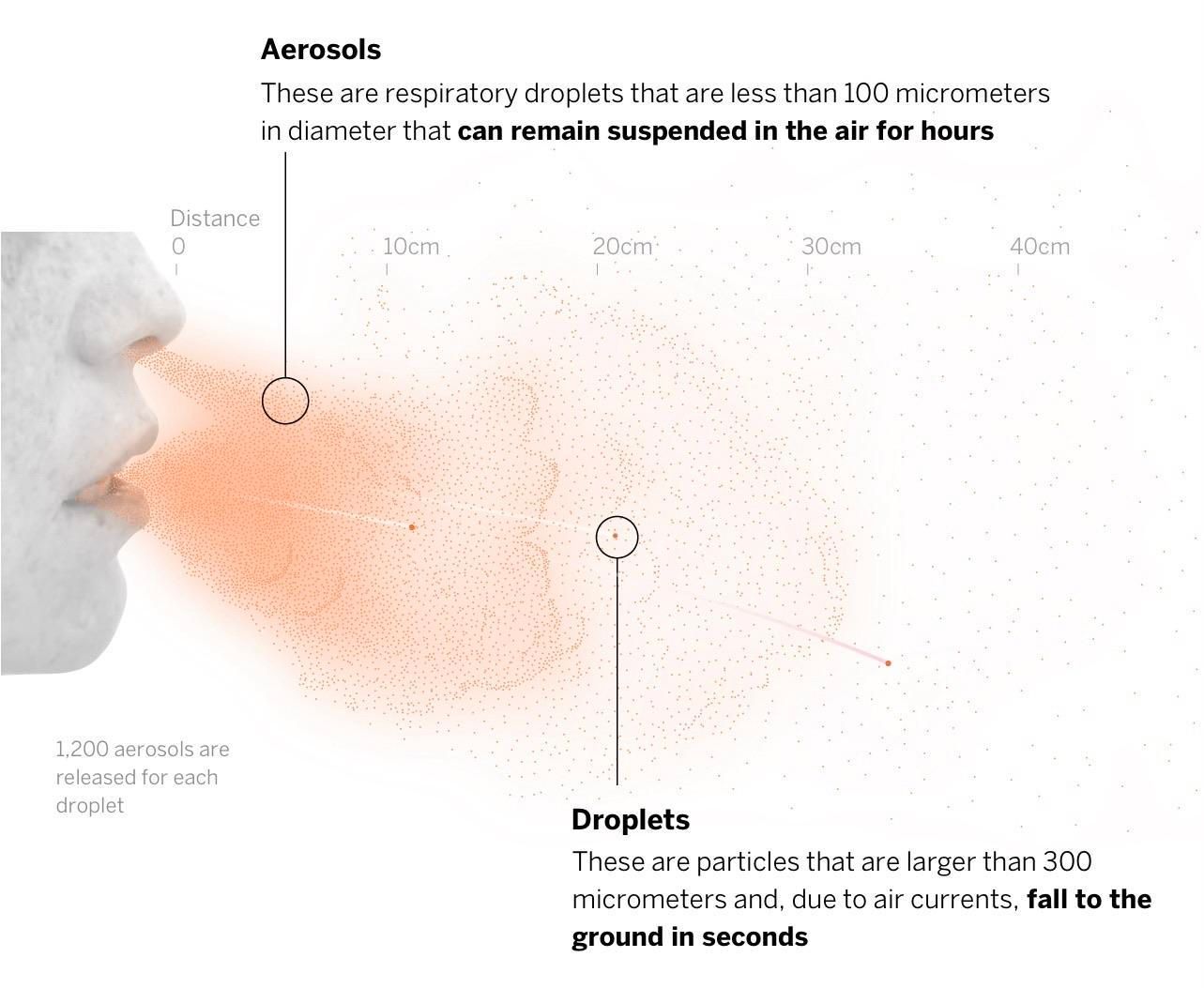 graphic shows profile of mouth and nose with orange dots emitting from nostrils and open mouth. Aerosols: These are respiratory droplets that are less than 100 micrometers in diameter that can remain suspended in the air for hours. 1,200 aerosols are released for each droplet. illustration shows aerosols and droplets travel distance from 0 to 40 cm. Droplets: These are particles that are larger than 300 micrometers and, due to air currents, fall to the ground in seconds.