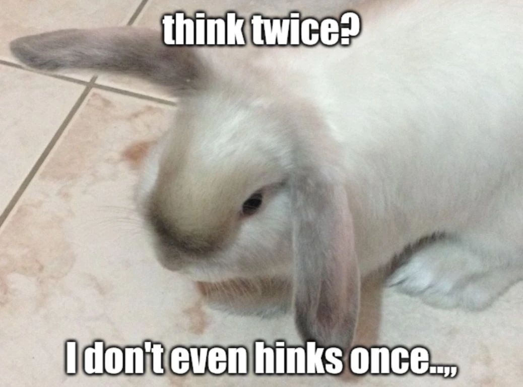 a buny with caption
think twice?

i don't even hinks once