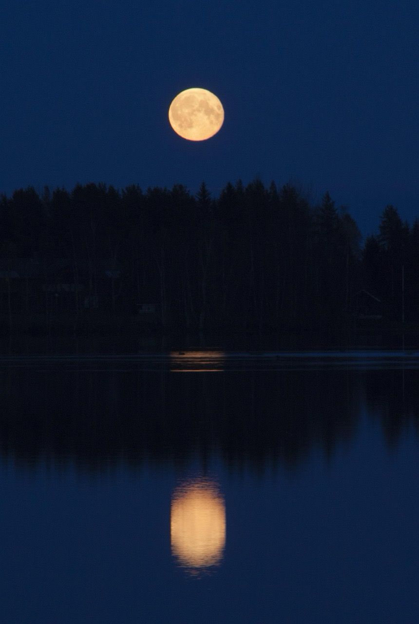 A golden moon rises over a dark, tree-lined lake, the sky a vivid deep blue.
