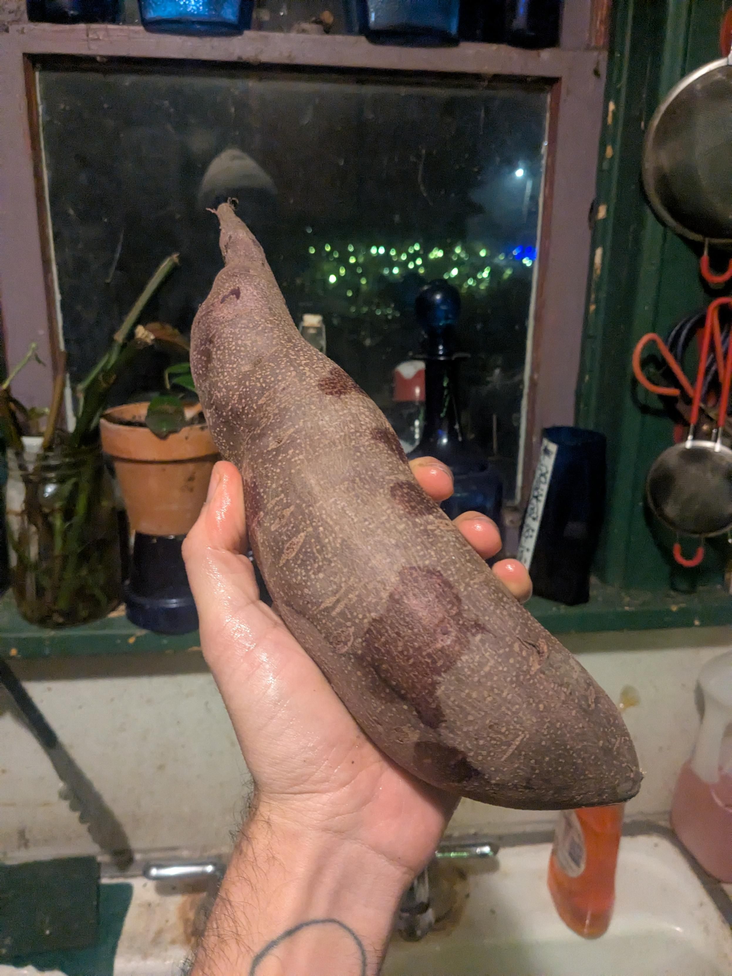 The outside of a purple sweet potato 