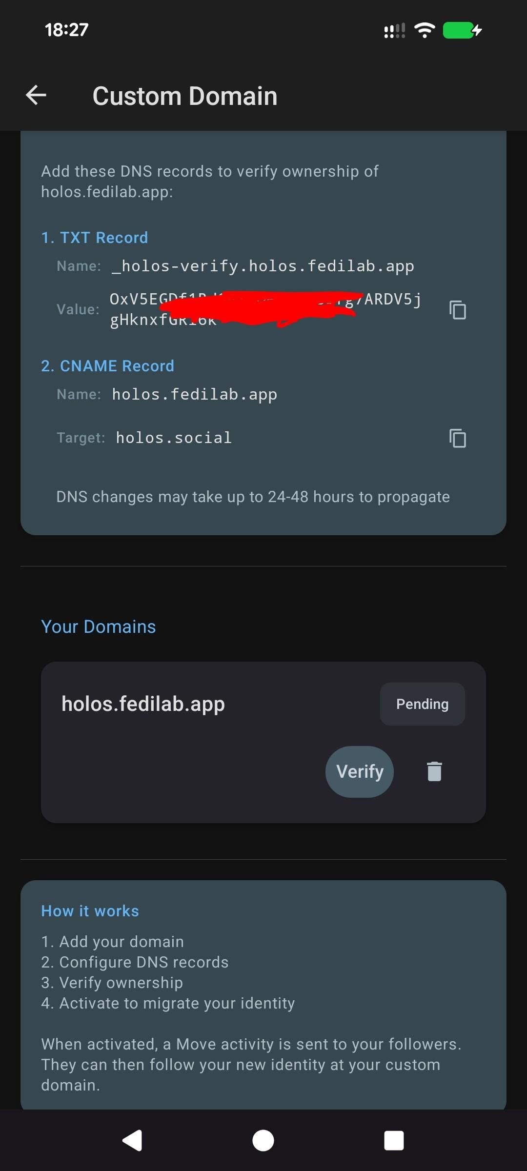 DNS configuration instructions: After adding a domain (holos.fedilab.app), the app provides exact DNS records to configure:  a TXT record for verification and a CNAME pointing to holos.social. Domain shows as "Pending" until DNS verification succeeds.