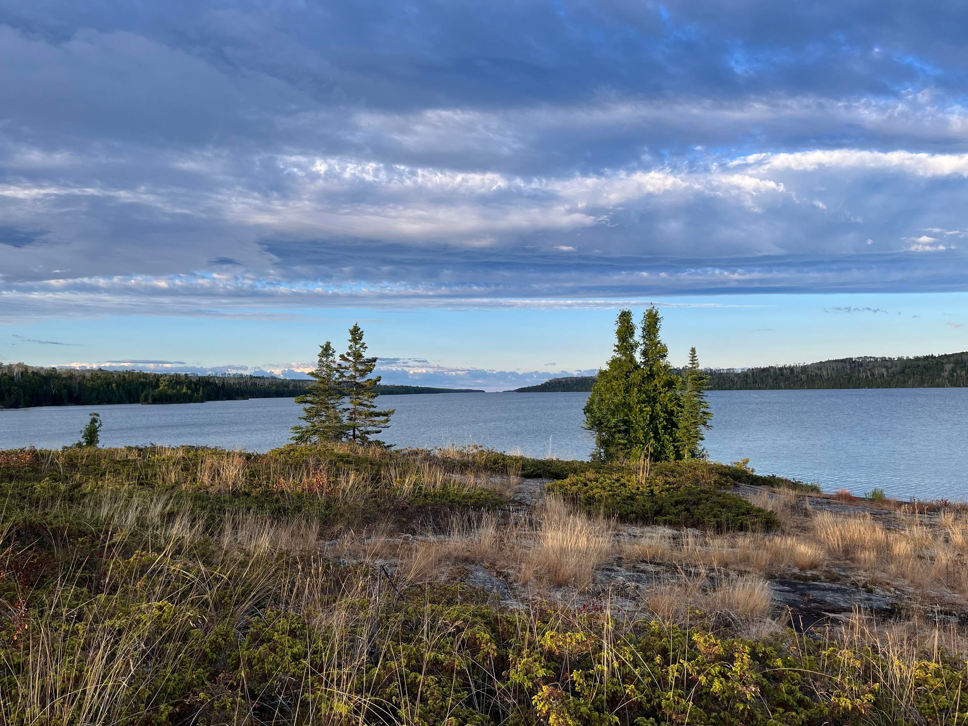 Some trees near a point on Isle Royale National Park
