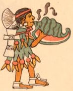 This is an Aztec conch shell trumpet, called a "quiquiztli", signaler, called a "quiquizoani", in Nahuatl from the Codex Magliabecchi on page 023.

This Aztec illustration from the Codex Magliabecchi shows a "quiquizoani" (signaler) blowing a "quiquiztli" (conch shell trumpet). The figure wears traditional dress with feathered headdress and ornaments.

https://en.wikipedia.org/wiki/Conch_(instrument)#/media/File:Codex_Magliabecchi_Aztec_conch_shell_trumpeter_quiquizoani.png