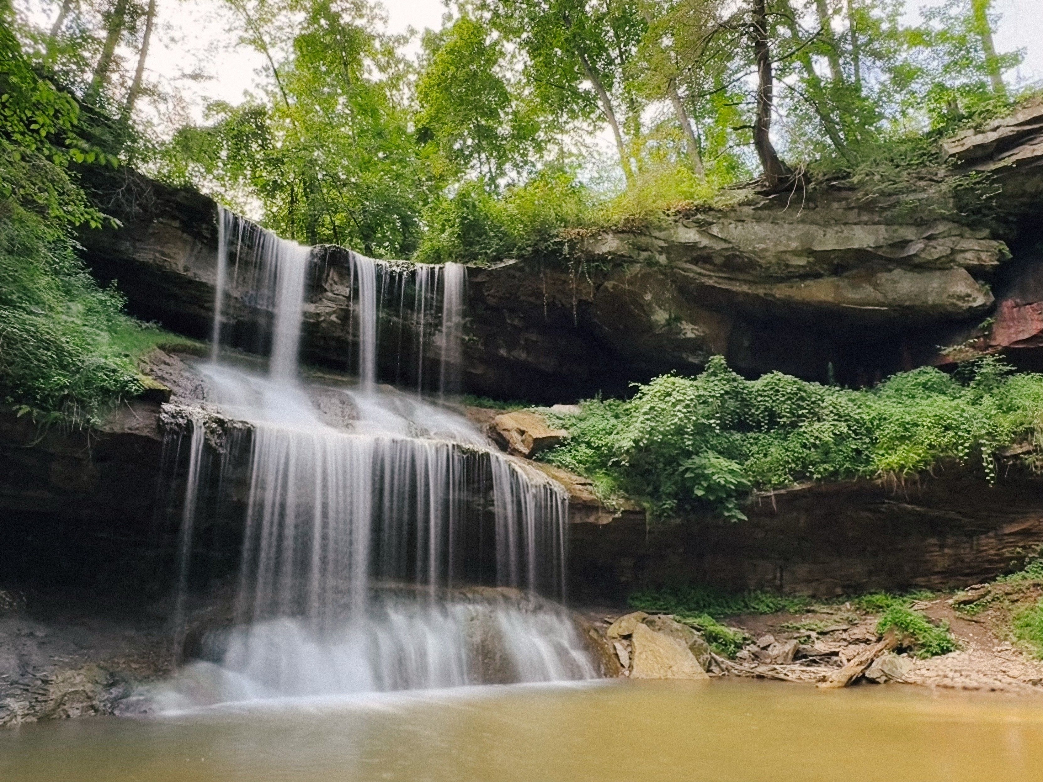 A waterfall in the woods. There are two strata of rocks in a horseshoe shape the water is flowing down. Lots of plants are growing on the second stratum and trees are on the top level. There is a large pool at the bottom great for swimming. 