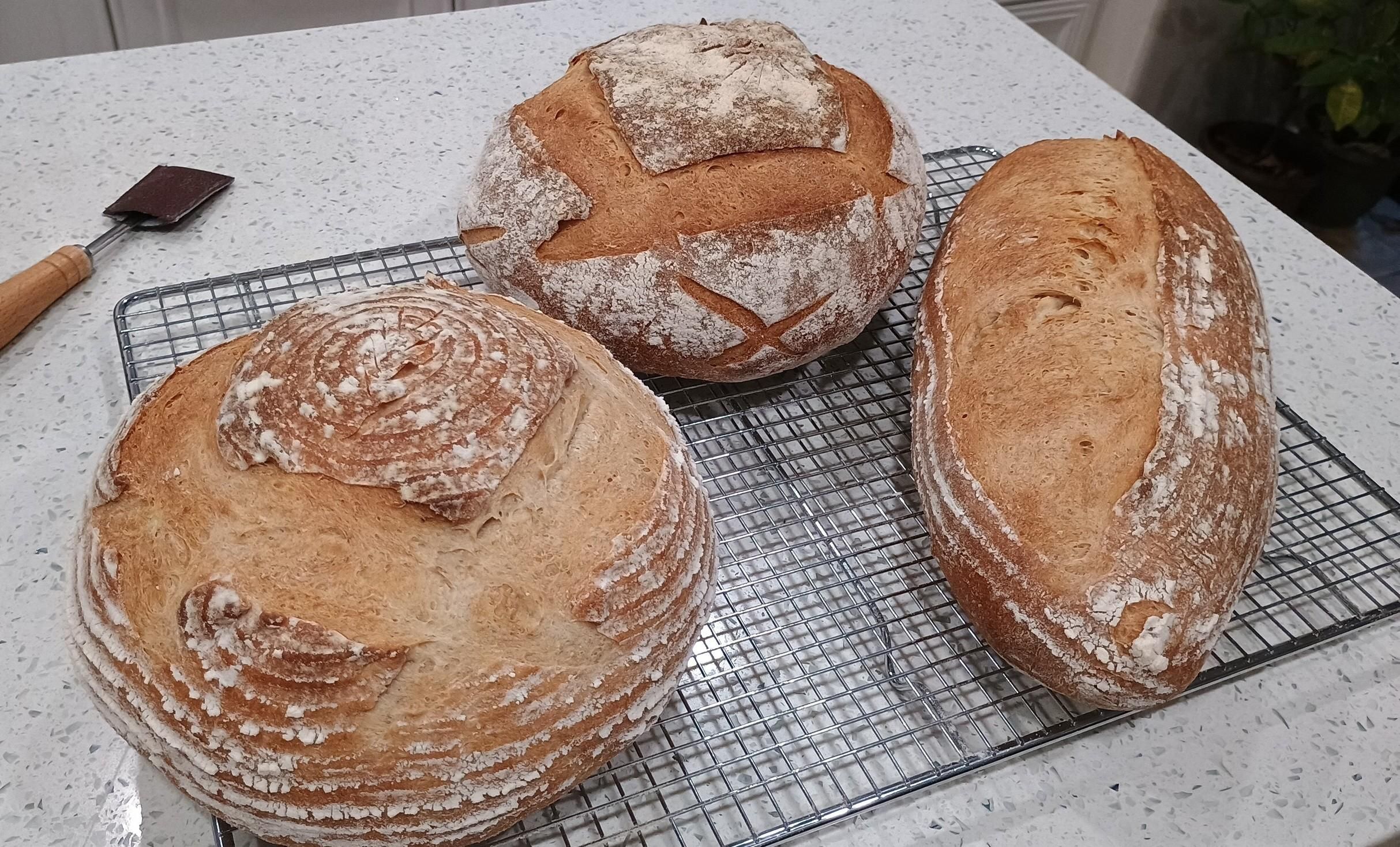 Three loaves of bread, two boules and an oblong loaf, cooking on a rack. Unusual for me to do two boules in one batch, but I succumbed to pressure.