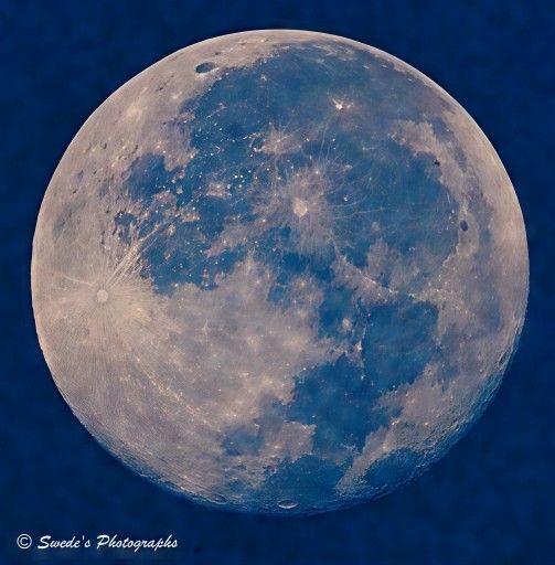 "The photograph captures an almost-full moon suspended in the western sky just after dawn. The moon dominates the frame, glowing with a soft, silvery light against a deep, velvety blue backdrop that hints at the fading night. Its surface is richly textured—etched with craters, ridges, and dark plains known as lunar maria. These maria form sweeping, shadowy patches that contrast with the brighter highlands, giving the moon a mottled, ancient appearance.

Several impact craters radiate brilliant streaks outward like ghostly sunbursts—these are ray systems, remnants of long-ago collisions that left scars visible even from Earth. The clarity of the image reveals the moon’s rugged terrain in striking detail, as if you could reach out and feel its pitted surface. There’s a quiet majesty to the scene: the moon, still lingering in the west, seems reluctant to leave the sky, holding onto the last whispers of night while the world below begins to stir.

In the bottom left corner, the image is signed “Swede’s Photographs,” a subtle nod to the artist behind the lens." - Copilot