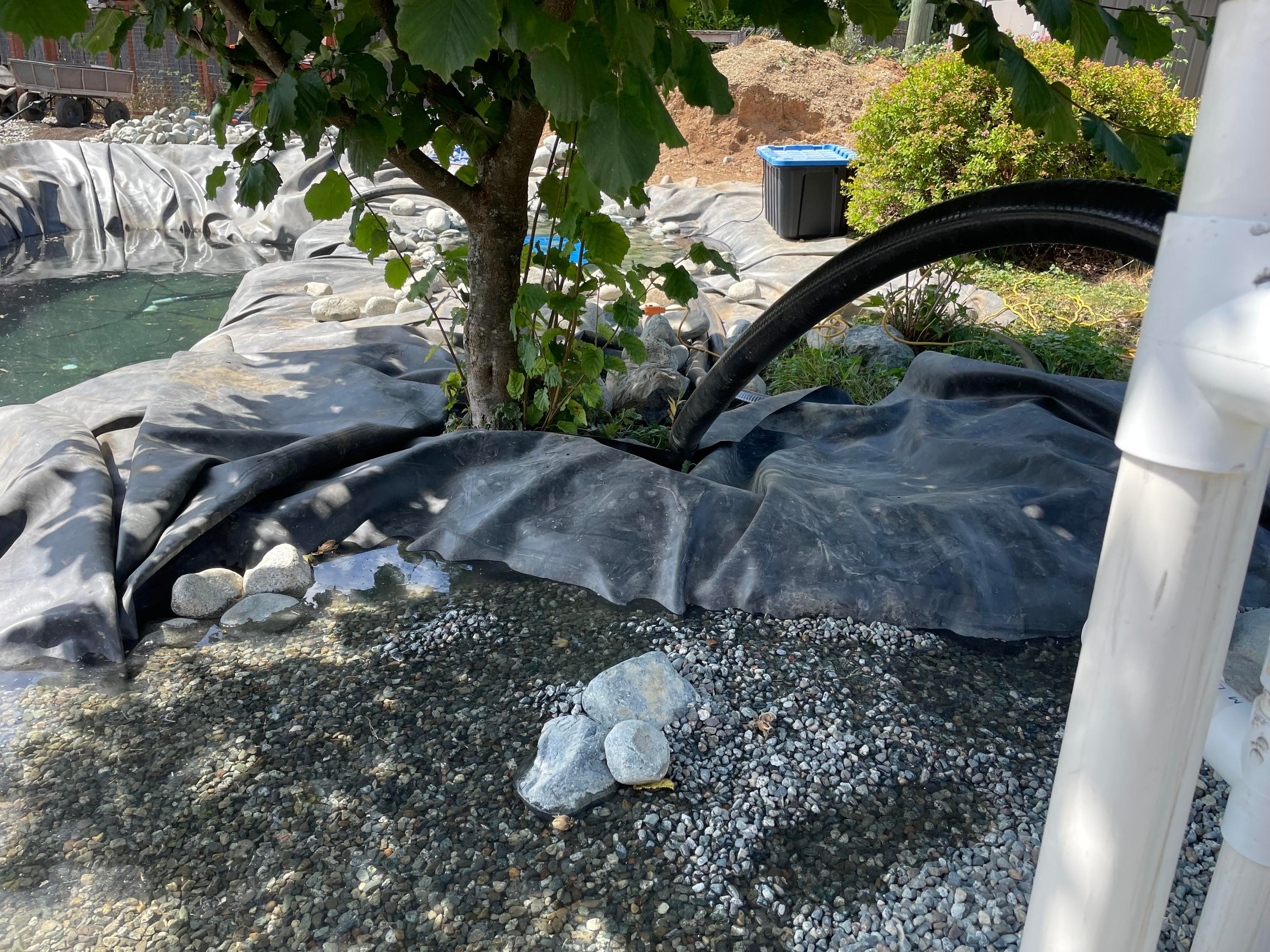 I shorted up a little portion of the filter pond nearest the tree. There are rocks and pebble underneath the liner. It should be fine for now, but I will have to reevaluate when I turn the pump on.