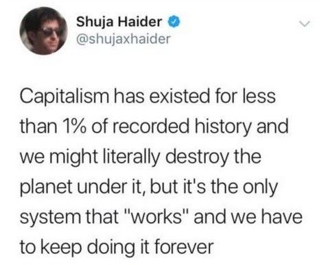 Shuja Haider @shujaxhaider writes:

Capitalism has existed for less than 1% of recorded history and we might literally destroy the planet under it, but it's the only system that "works" and we have to keep doing it forever 