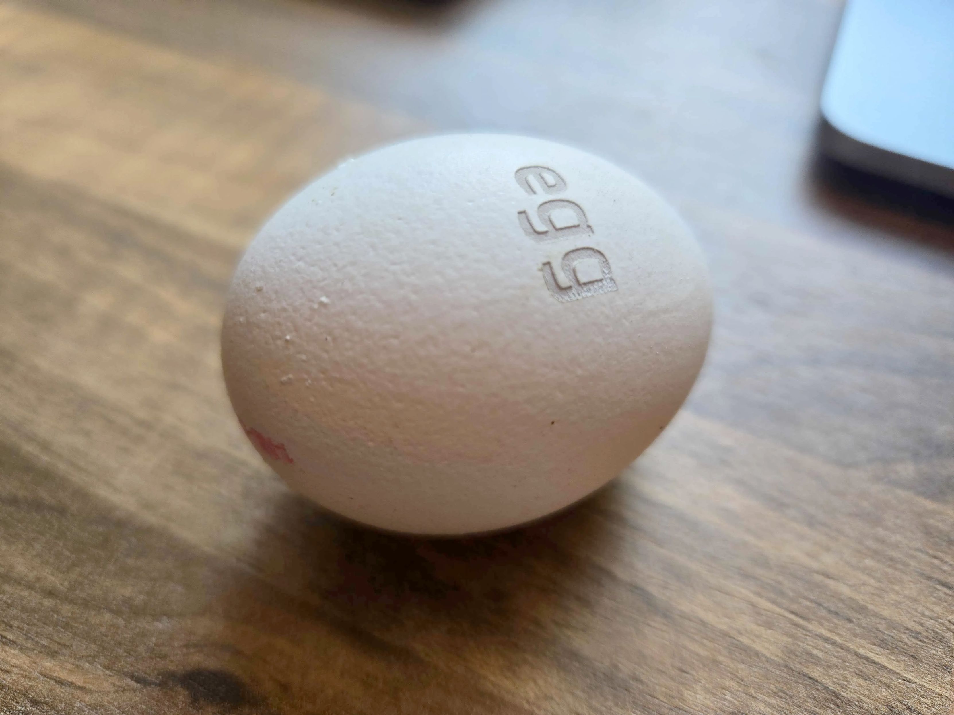 An egg with the word "egg" engraved into the shell. The top layer of the shell is gone and the layer below it is visible in those letters. There are no burnmarks or discolorations, somehow.