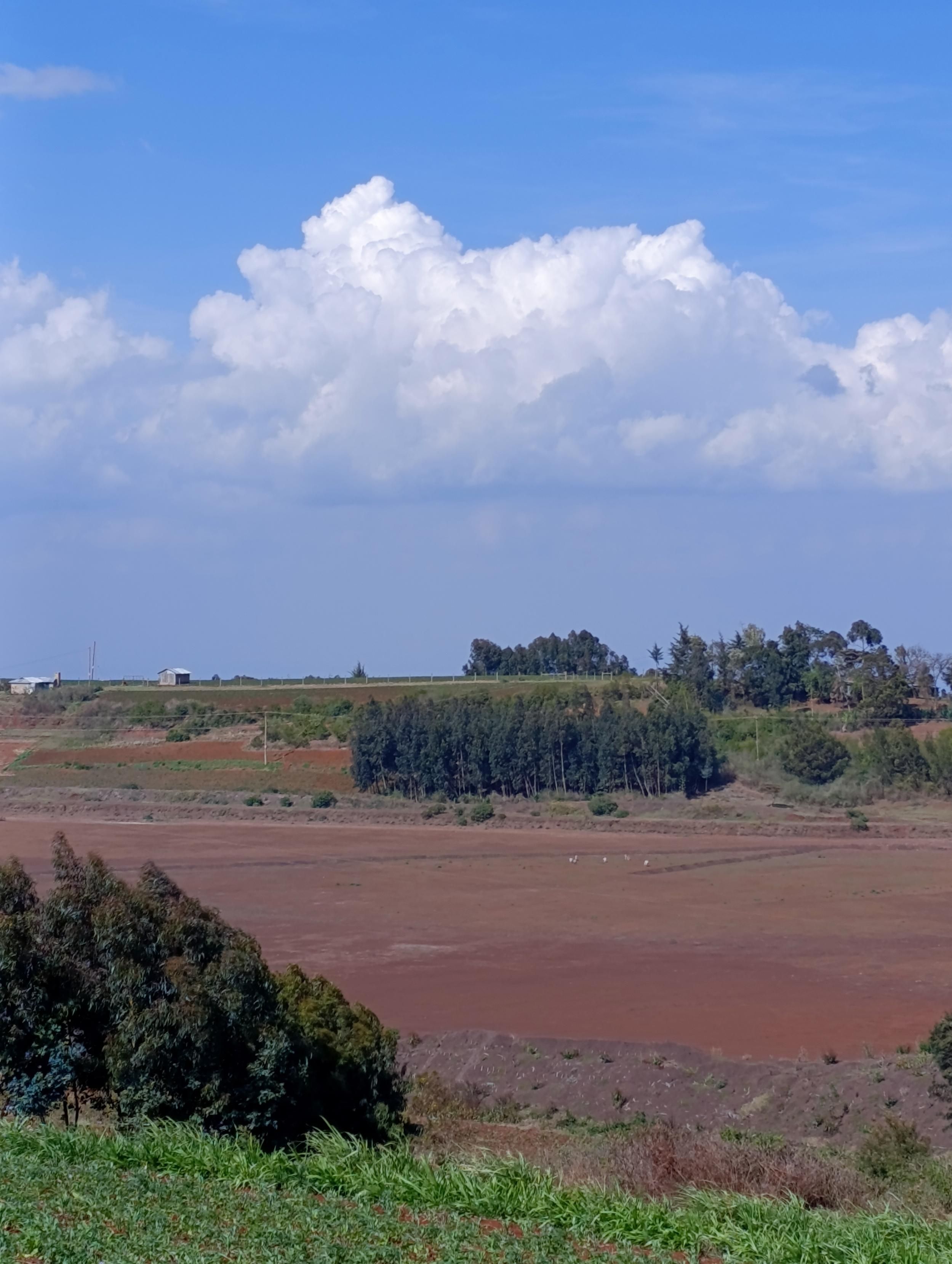 Dried up Baisiglia dam that fetches water from rainfall. 