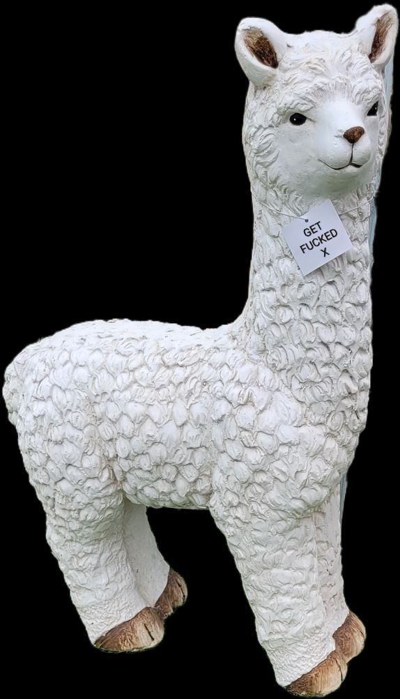 Sticker of a sassy looking white llama with a tag around its neck that reads 'GET FUCKED X' 