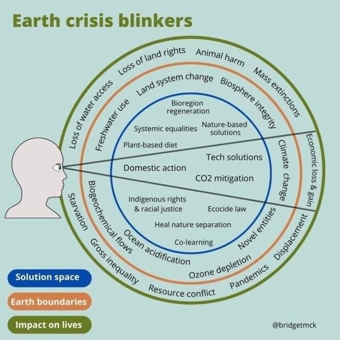 Infographic titled: "Earth Crisis Blinkers." Three concentric rings. Someone gazes upon the rings with a narrowed field of awareness, focused only on a small piece of the issue.

The inner ring is the solution space. It consists of bioregion regeneration, systemic equalities, nature-based solutions, domestic action, tech solutions, CO2 mitigation, indigenous power & racial justice, ecocide law, heal nature separation, and co-learning. The narrowed view only includes domestic action, tech solutions, and CO2 mitigation. 

The middle ring is called earth boundaries. It consists of land system change, biosphere integrity, climate change, novel entities, stratospheric ozone depletion, atmospheric aerosol loading, ocean acidification, biogeochemical flows, and freshwater use. The narrowed view only includes climate change.

The outer ring is called impact on lives. It consists of animal harm, mass extinctions, economic loss and gain, displacement, pandemics, resource conflict, gross inequality, starvation, loss of water access, and loss of land rights. The narrowed view only includes economic loss and gain.