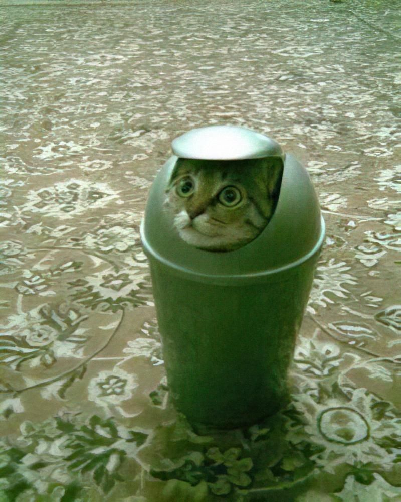Photo of a cat peeking its head out of a small office trash can with a lid.