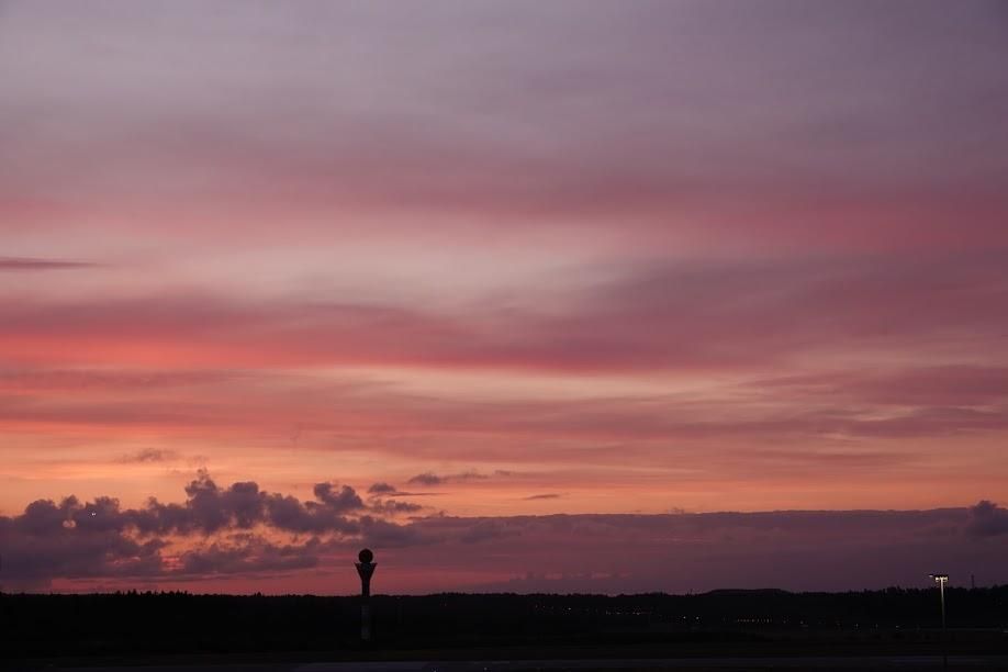 Pehmeärajaiset mutta vahvat pitkulaiset pilvet loistavat pinkkeinä taivaalla juuri ennen auringonnousua. Matalampana räsyistä kumpukerrospilveä. Kuva rajautuu alhaalta metsäiseen horisonttiin, jonka edessä törröttää tutkatorni.