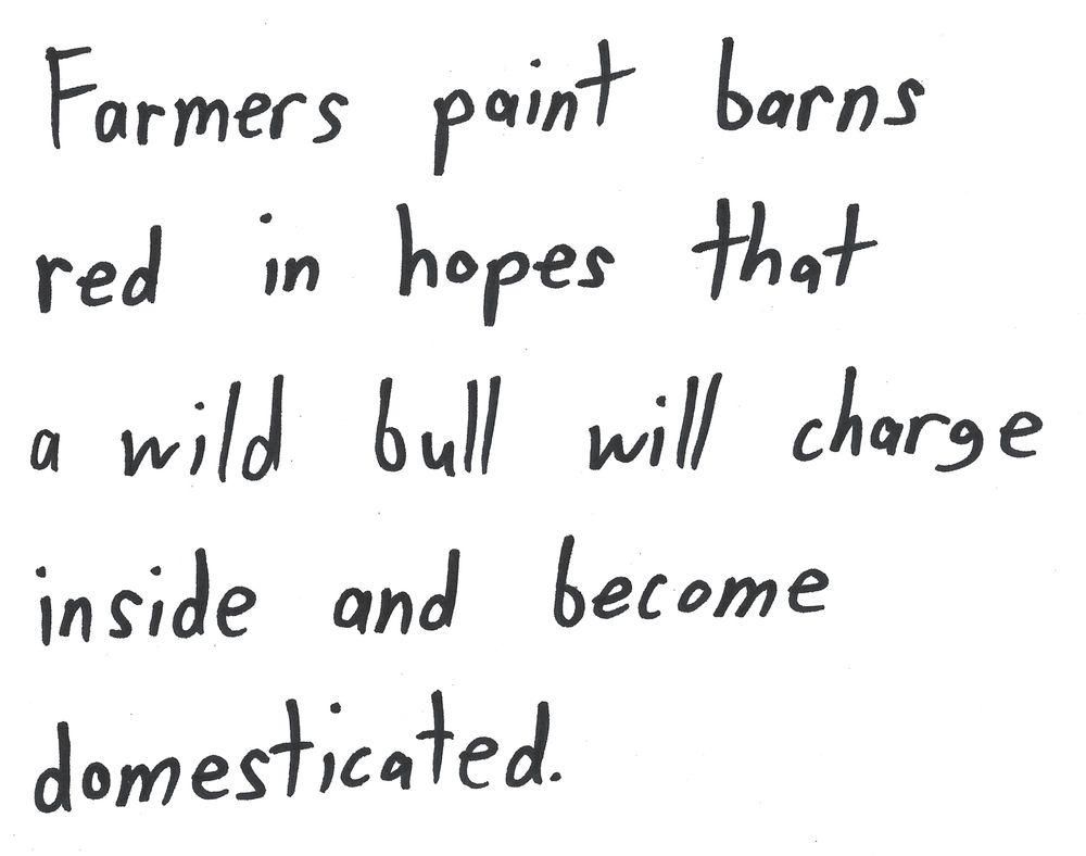 Farmers paint barns
red in hopes that
a wild bull will charge
inside and become
domesticated.