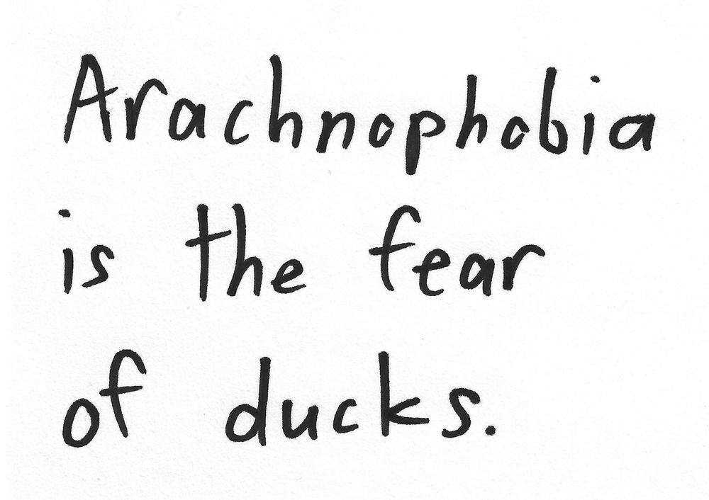 Arachnophobia
is the fear
of ducks.
