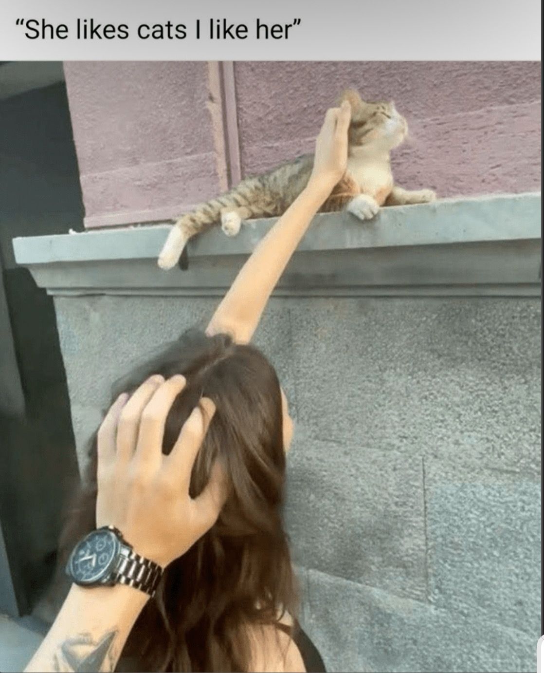 A woman extends a hand and arm upward to stroke a tiger cat lying in the sun. A hand is reaching into the frame to pat her own head. Captioned:  "She likes cats I like her". 