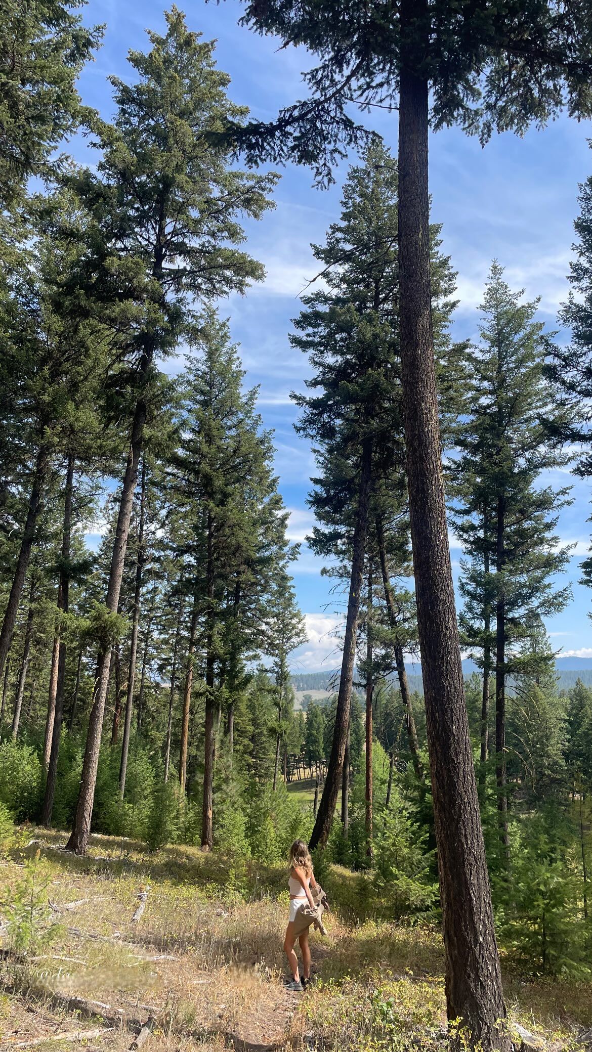 Mountain hiking through wooded area with friends enjoying the tranquility of nature 