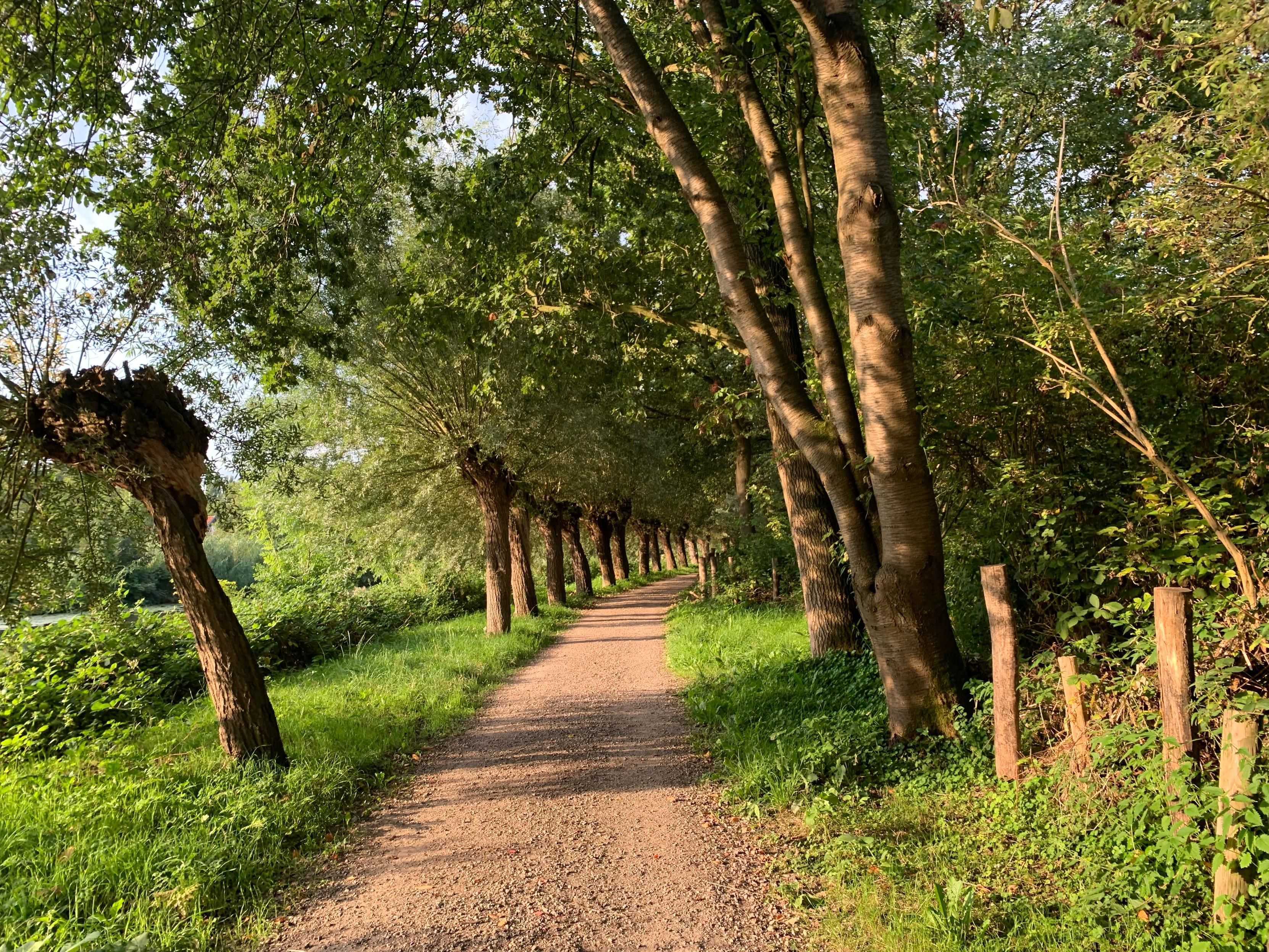 Na 5 kilometer ging het onder de A27 door en werd het pad een wilgenlaan.