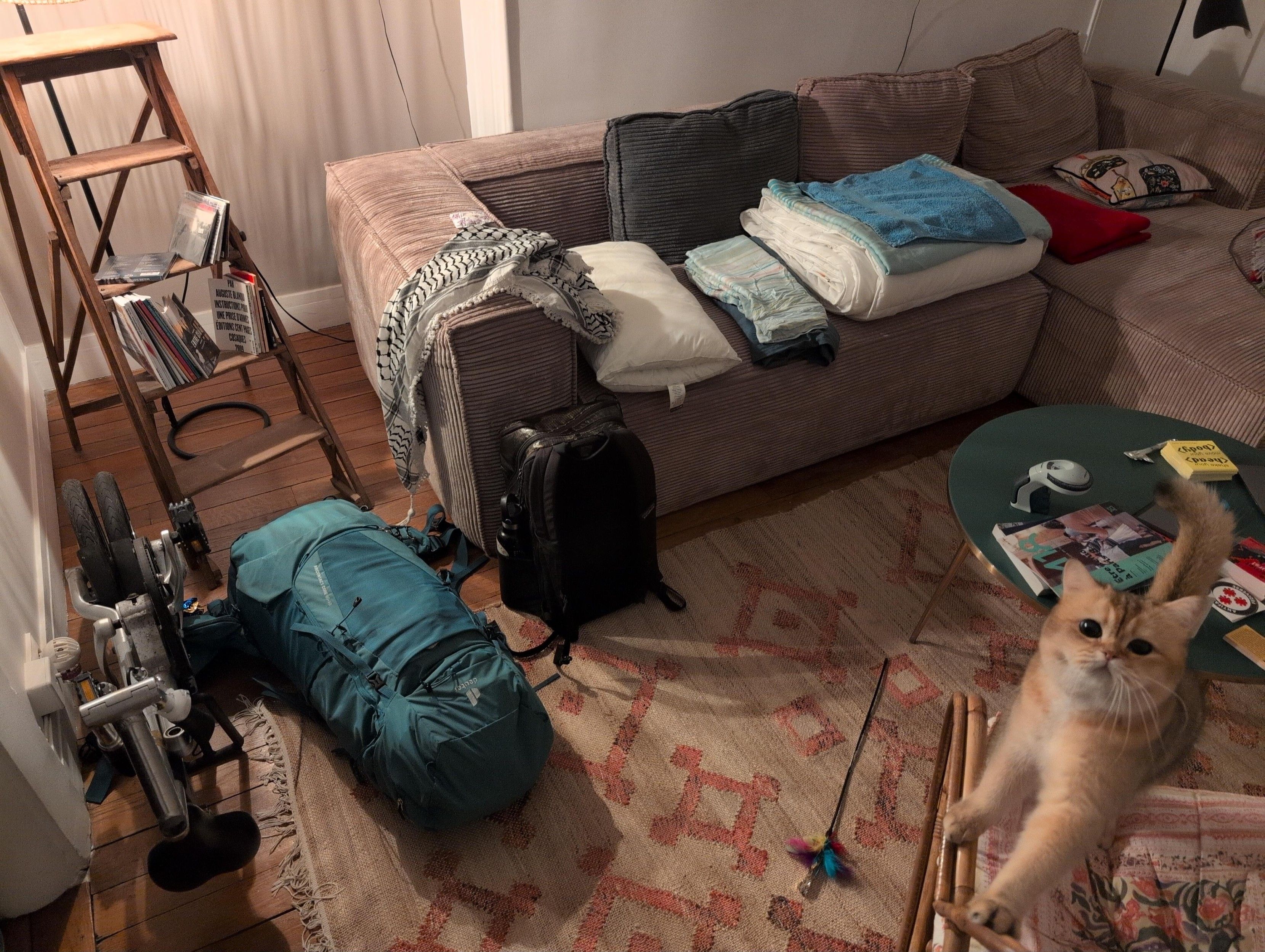 Photo of the sofa on which I slept + my luggage. Benny, the cat of the home, looks at me.