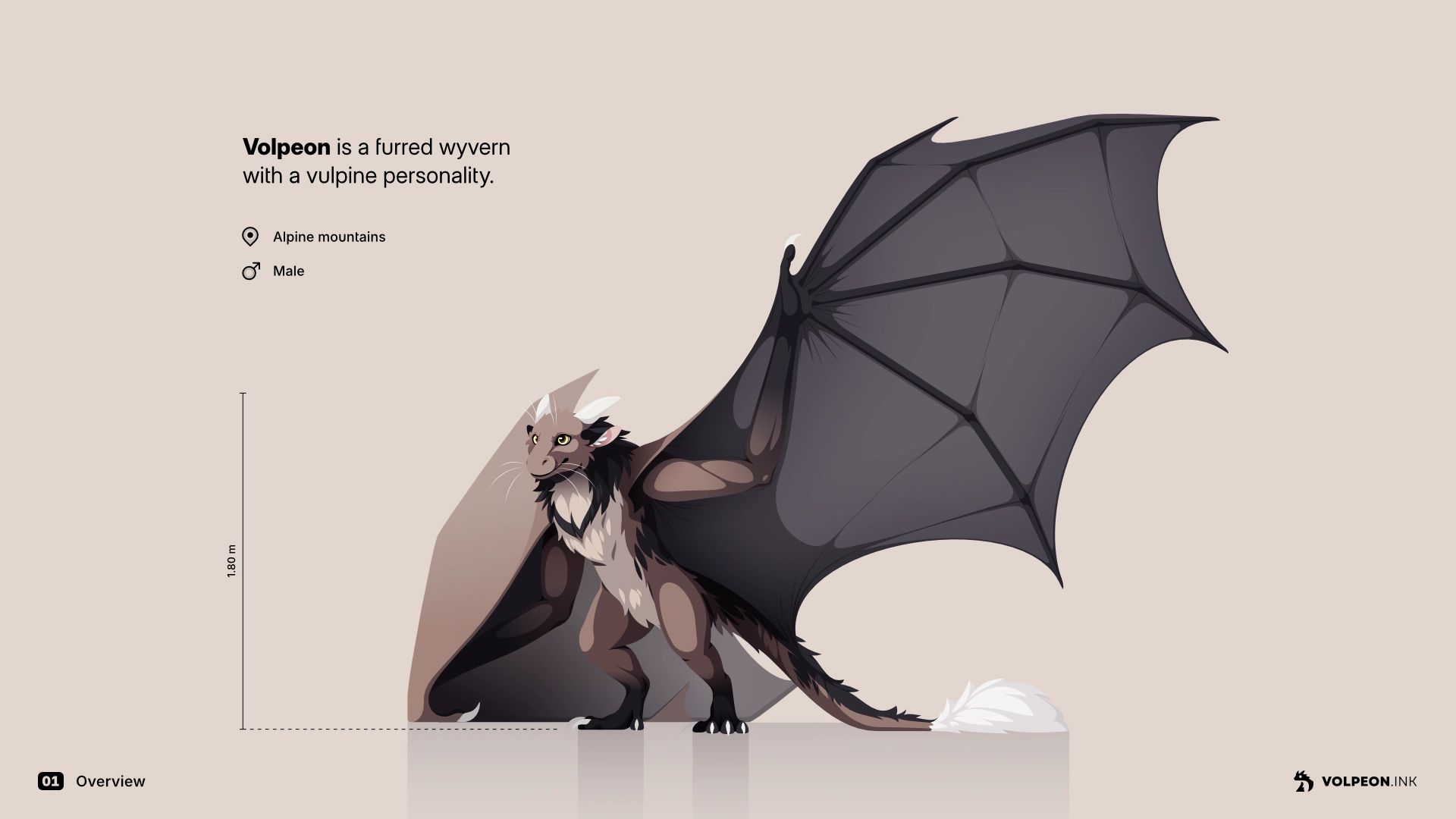 A page from my reference sheet featuring my wyvern character. His fur is mostly brown, with a beige underside and black fur on the back. He's holding up one wing so you have a clear view of pretty much the entire body.