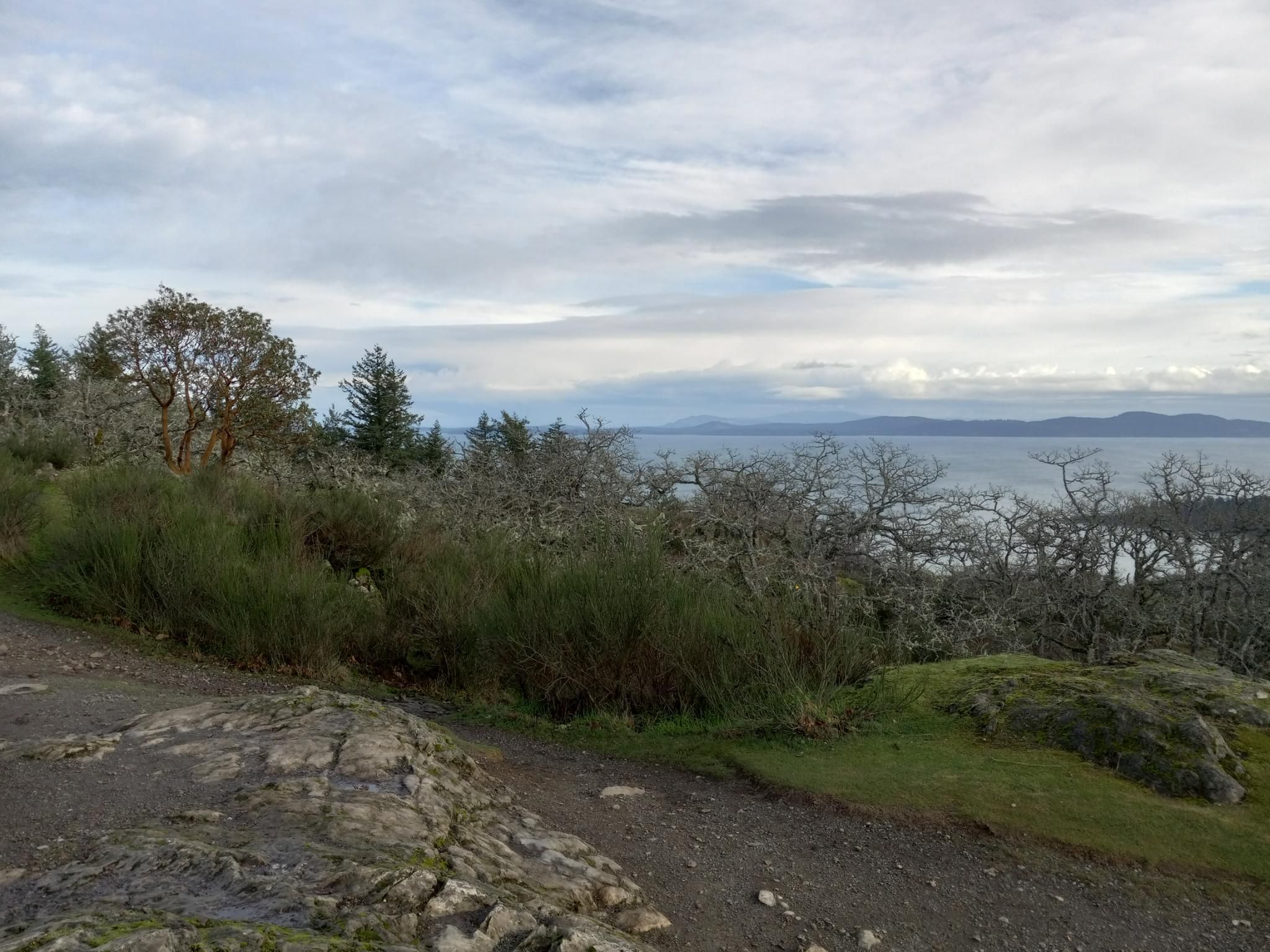 A view from on top of a small mountain, looking out over scrubby, leafless garry oak trees, over the ocean, toward the gulf islands.  The sky above is cloudy.