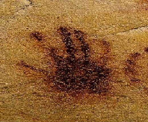 Cave painting from Chauvet cave. Someone approx 30,000 years ago dipped their hand in ochre and pressed it to the wall, leaving a dark red handprint. The pinky finger is visibly crooked. You can see this same handprint elsewhere in the cave. I’m not having emotions about this individual person we have multiple records of you are