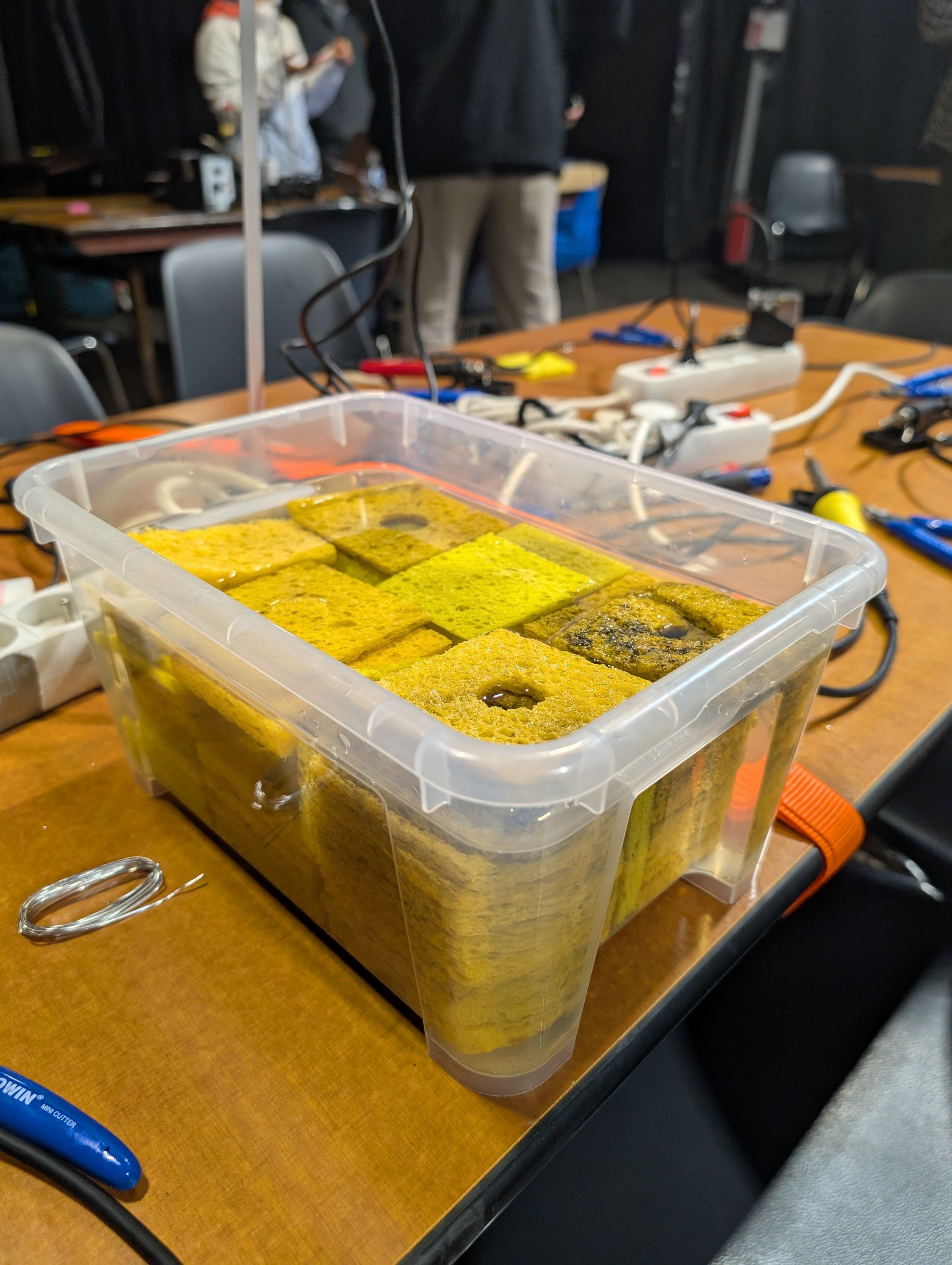 Plastic box, filled with yellow sponges submerged in water.