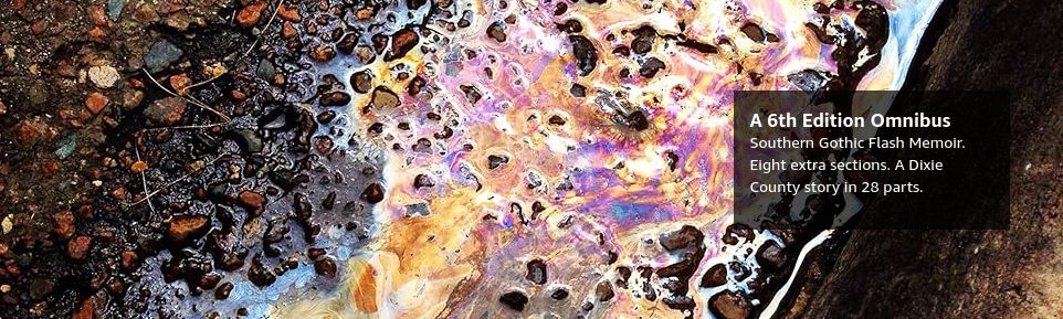 
A 6th Edition Omnibus

Southern Gothic Flash Memoir. Eight extra sections. A Dixie County story in 28 parts.
