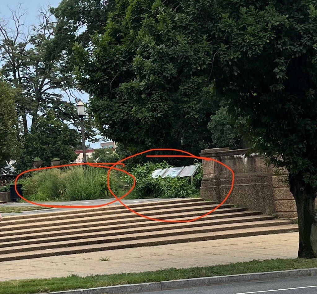 Overgrown weeds at Median Hill Park in Washington, DC, which is technically owned by the National Park Service. Image from Popville: https://www.popville.com/2025/08/the-weeds-are-so-tall-they-almost-cover-the-signs/