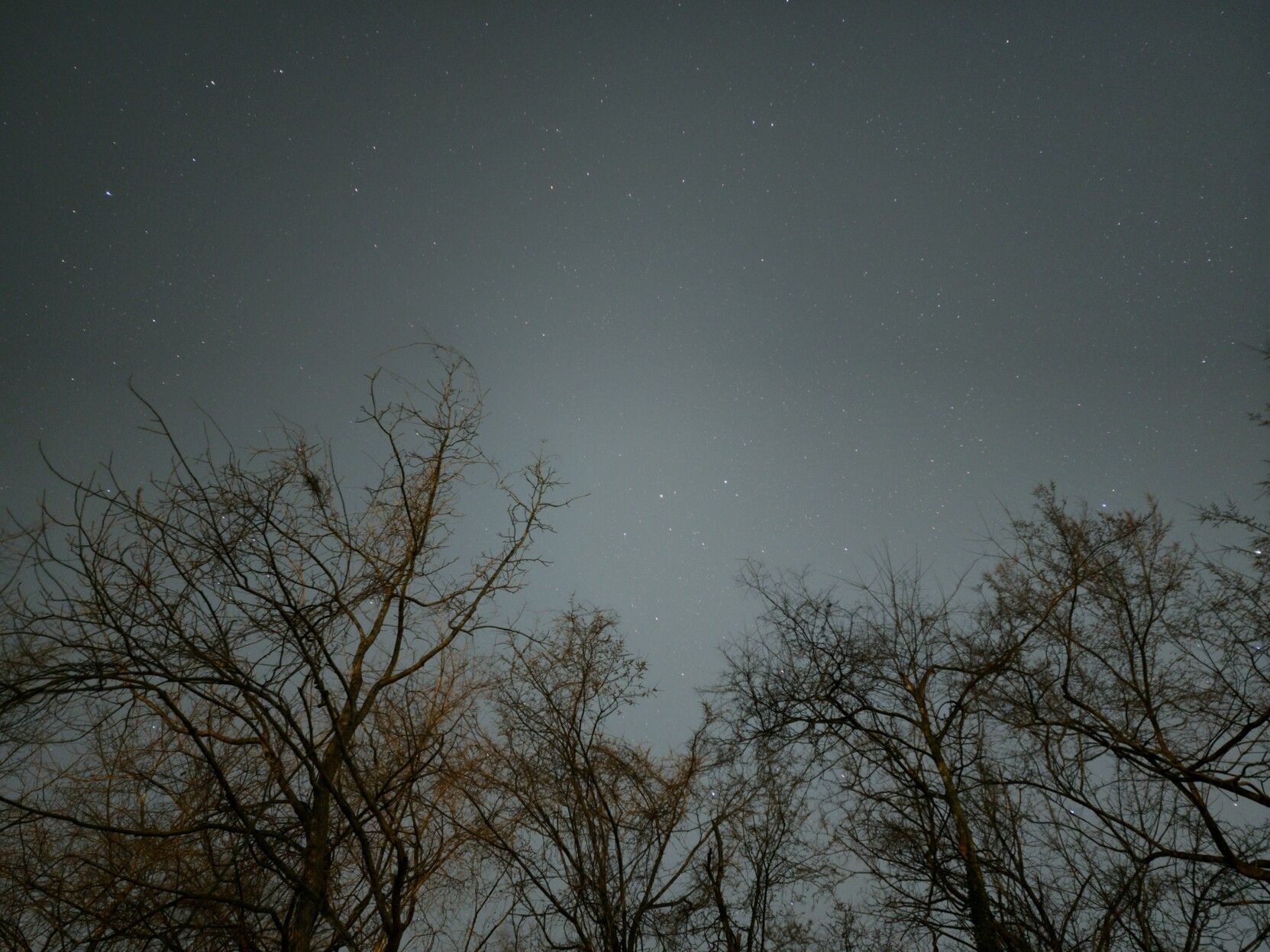 A shot of the night sky over Arnold, Missouri. 