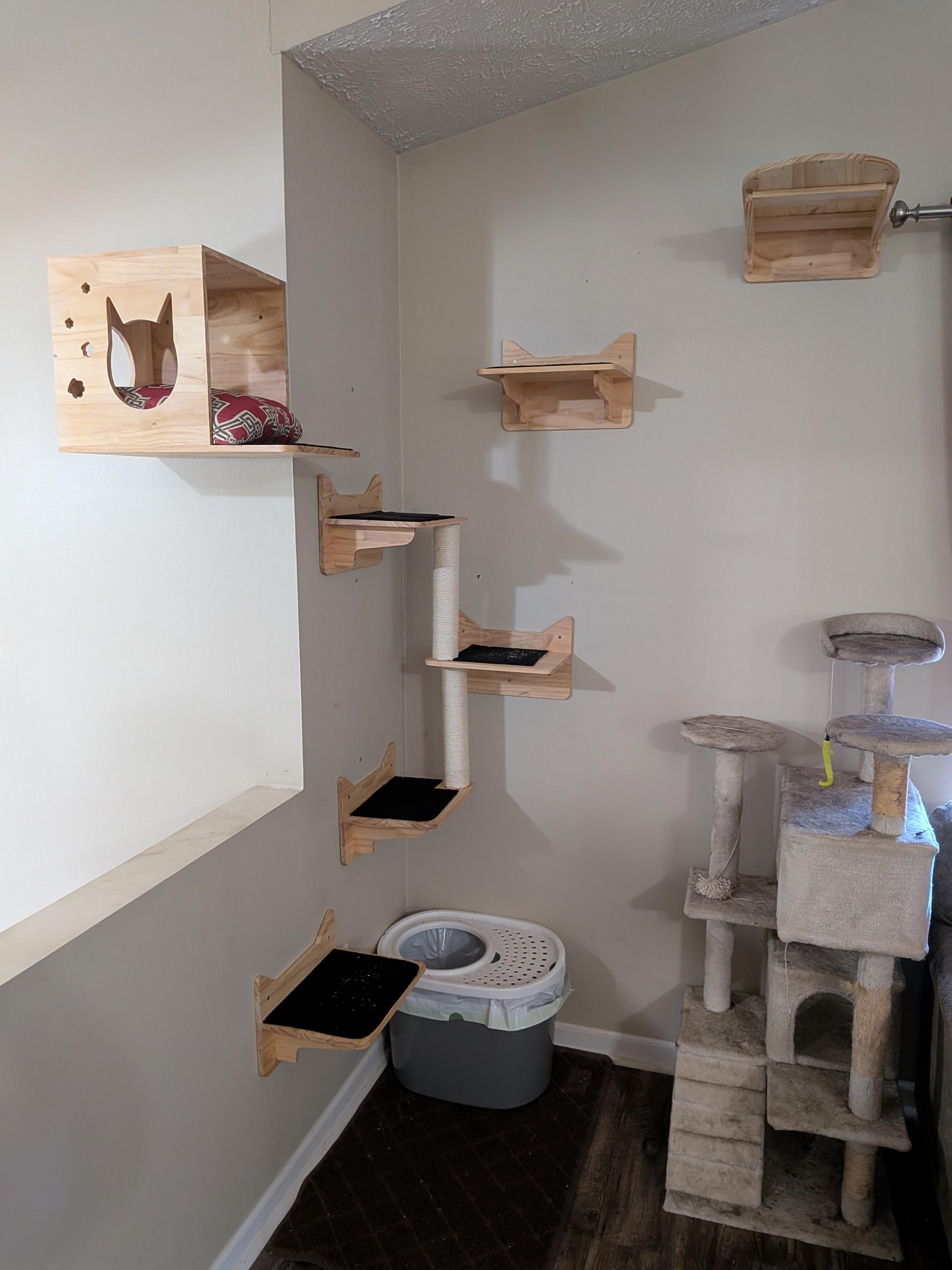 A series of cat platforms, studded on the wall in various places. There are two perches and five platforms. 