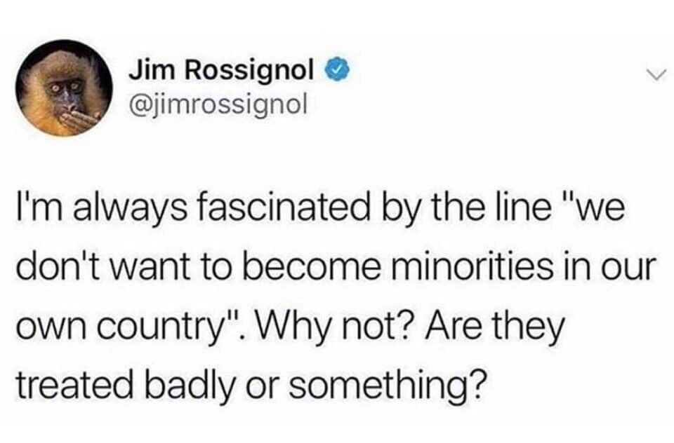 Tweet by @jimrossignol (date unknown) text reads I’m always fascinated by the line “we don’t want to become minorities in our own country”. Why not? Are they treated badly or something? 