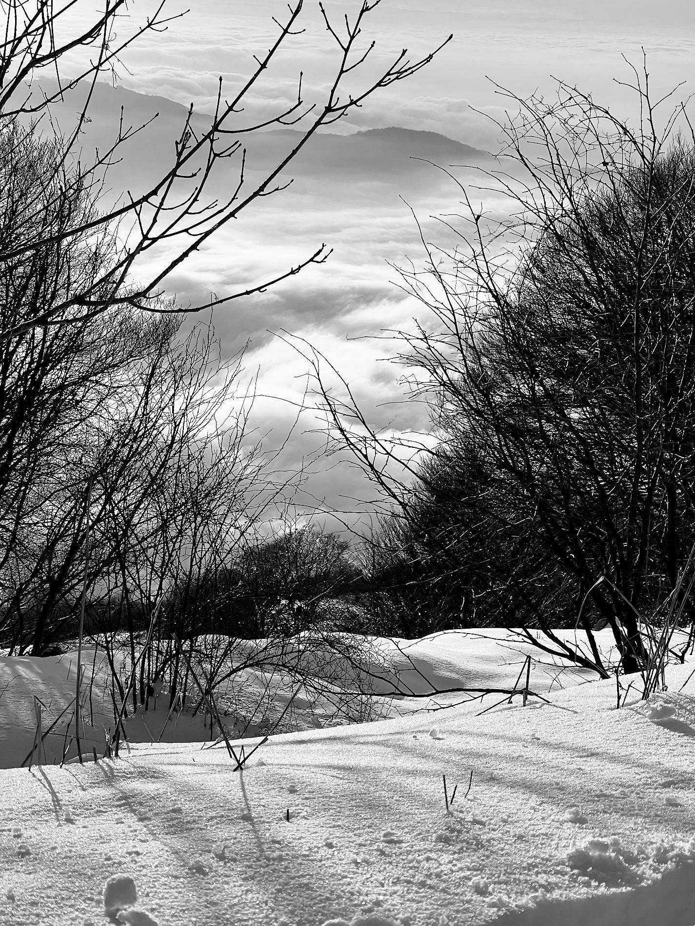Fotografia in bianco e nero, verticale. Paesaggio innevato scattato in montagna. In basso si vede la vallata coperta da un mare di nubi....