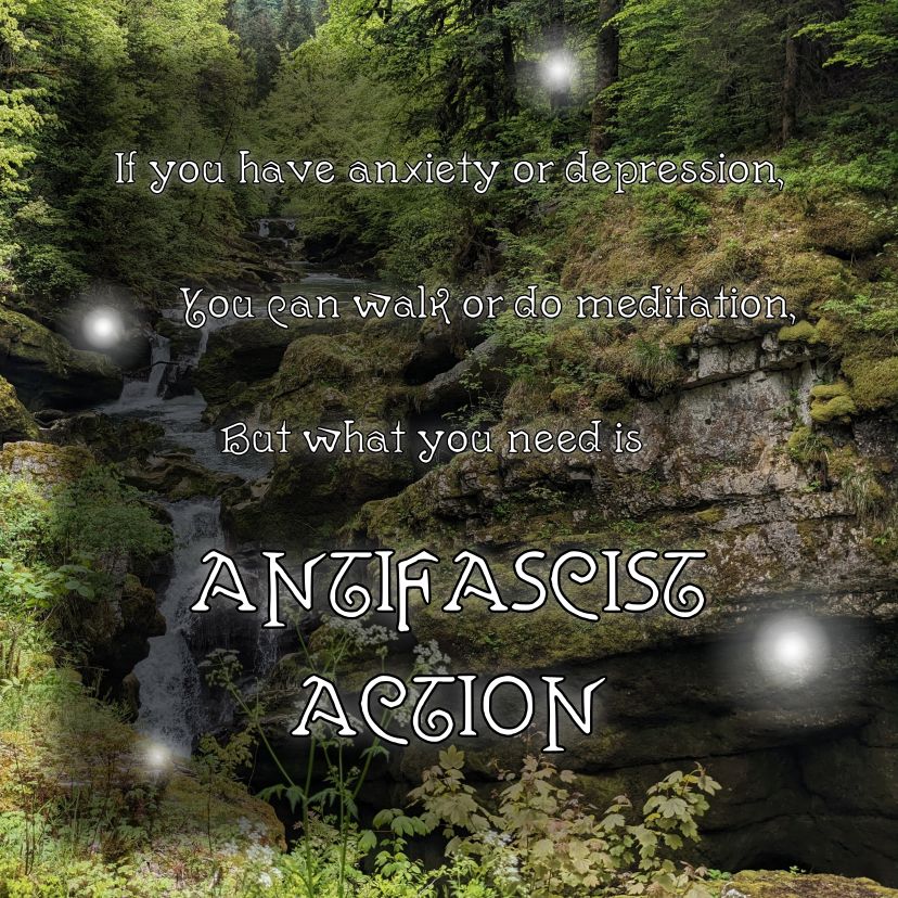 Inspirational like picture, with nature in the background, some faery lights arround, the caption says "if you have anxiety or depression, you can walk or do meditation, but what you need is antifascist action"