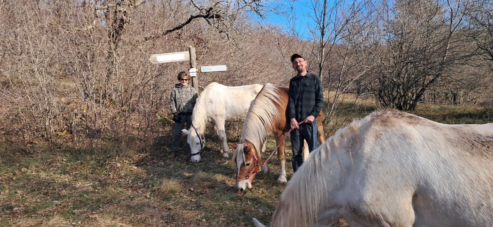 Me on a sunny day in the autumn woods with no leaves with 3 horses and a woman