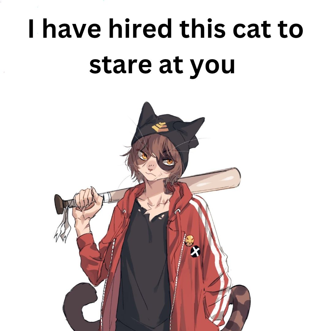 "I have hired this cat to stare at you"

There's a image of a furry catboy holding a baseball bat 