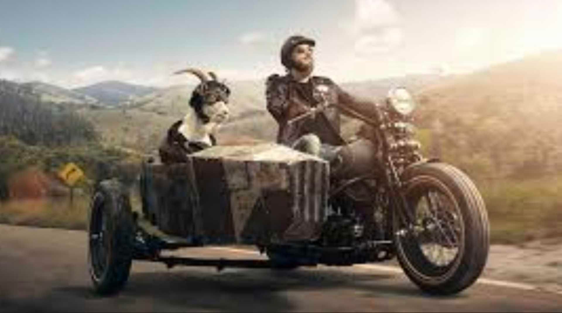Bronson, "l'amico che non avevi", viaggia nel sidecar, passeggero di una meravigliosa motocicletta, condotta nel tramonto.
O è piuttosto l'alba, magari di un nuovo mondo migliore?