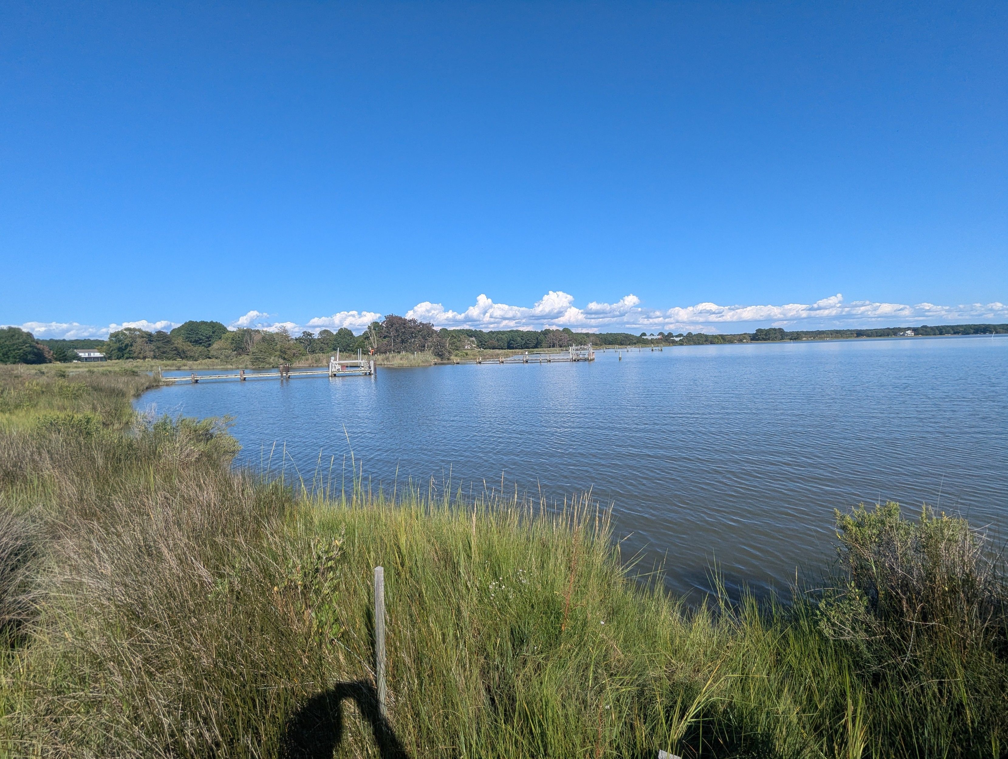 Photo of a fine early September day on Harris Creek, sky is deep blue with puffy white clouds riding the horizon. Marsh is browning and gone to seed. Creek water is rippled and reflects the sky and clouds.