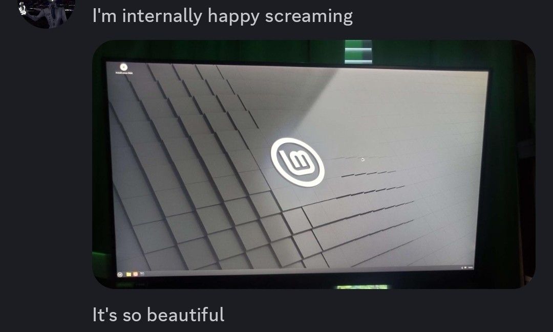 a screenshot of a chat where my kid is excited about his first computer build and linux mint installed.