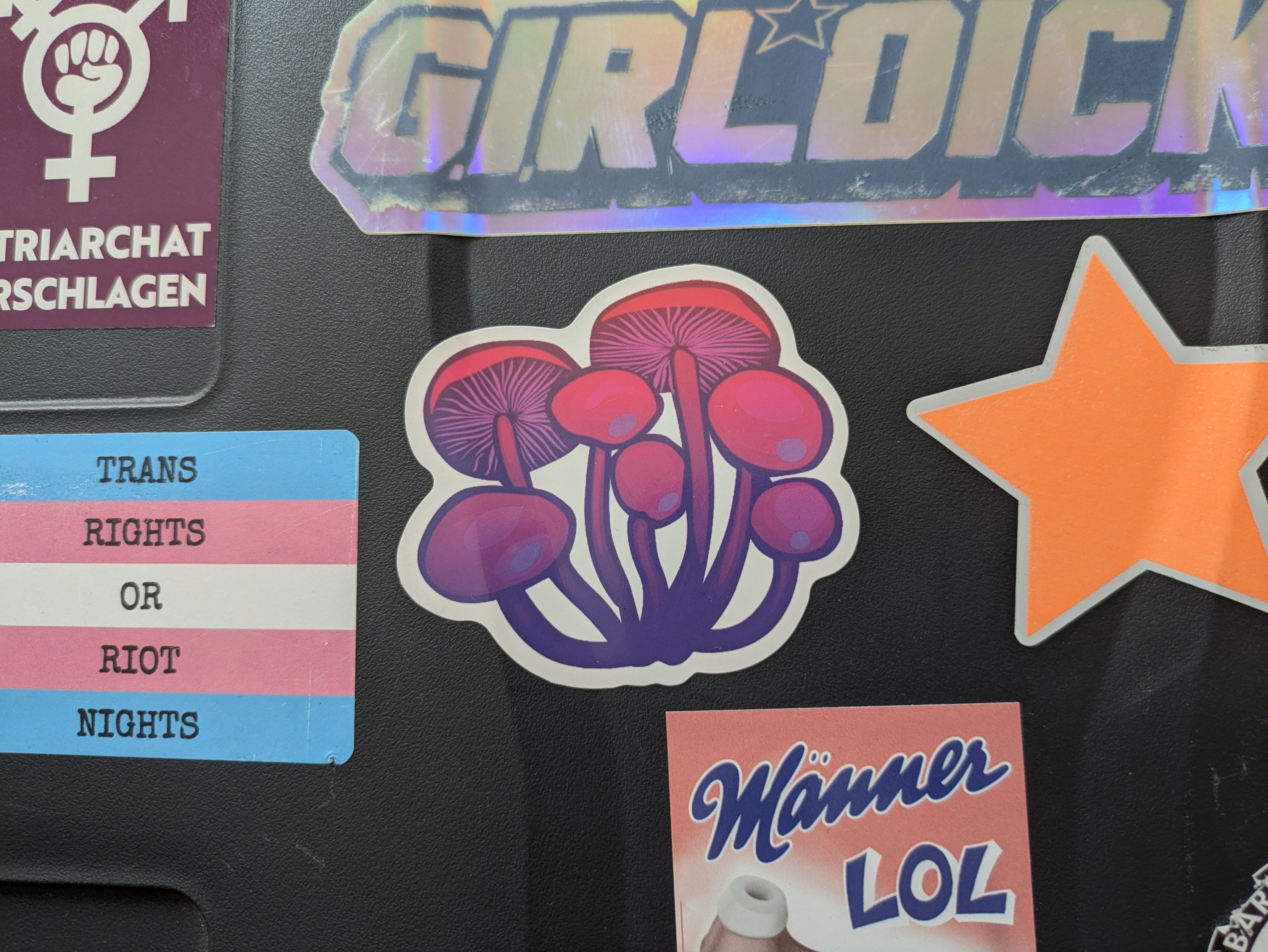Foto von Stickern auf meinem grauen Hartschalen-Koffer. Zentral ist ein Sticker mit Pilzen in Bi-Pride Farben.
Auserdem sind folgende Sticker drum rum zu sehen:
- ein holografischer GIRLDICK Sticker
- eine Trans Flag mit Text " TRANS RIGHTS OR RIOT NIGHTS"
- ein "Patriarchat zerschlagen" Sticker
- ein "Männer LOL" Sticker im Manner Waffel Design
- ein orangener Stern 