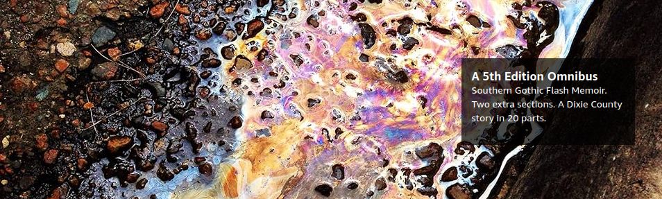 An oil slick on worn pavement. Text – "A 5th Edition Omnibus Southern Gothic Flash Memoir. Two extra sections. A Dixie County story in 20 parts." 