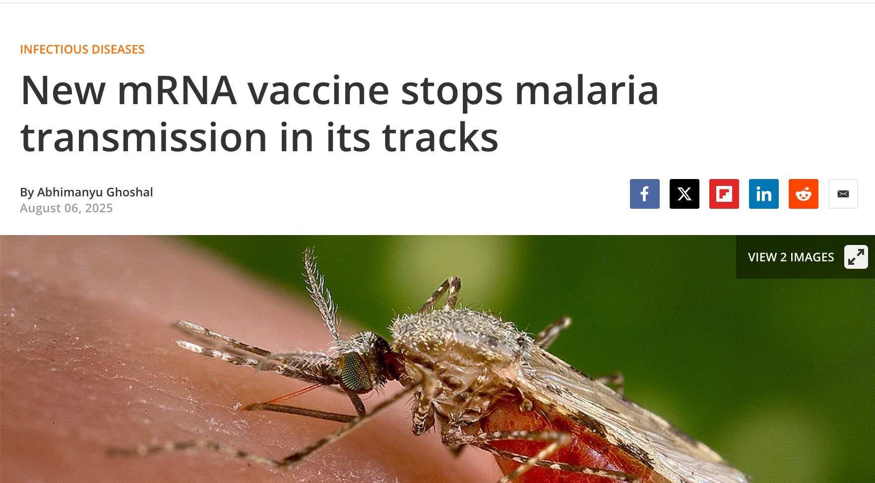 Screenshot of first story.