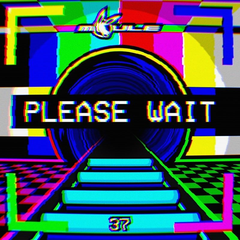The cover artwork of MOULE's track "Please Wait".

It's a slightly glitchy image of a roller coaster with cyan handlebars, taken from the perspective of the back seat of the roller coaster, looking into a dark tunnel with a blue portal swirling through it.

Around the tunnel are colourful bars similar to television test screens, to the left and right of the rollercoaster is a pink-and-black and green-and-black checkered floor respectively, and in the centre of the picture is white text on a black background in the VCR Mono font reading "PLEASE WAIT".

The MOULE logo, the word "MOULE" spelt in a slanted Y2K-style extended font with a mule's head sticking out of the "O" is above the tunnel, and a small number 37 in the VCR Mono font is on the handlebar closest to the viewer.